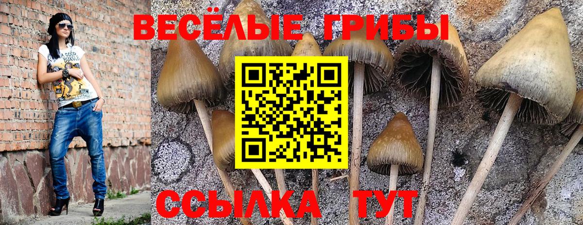 Галлюциногенные грибы мицелий Дедовск