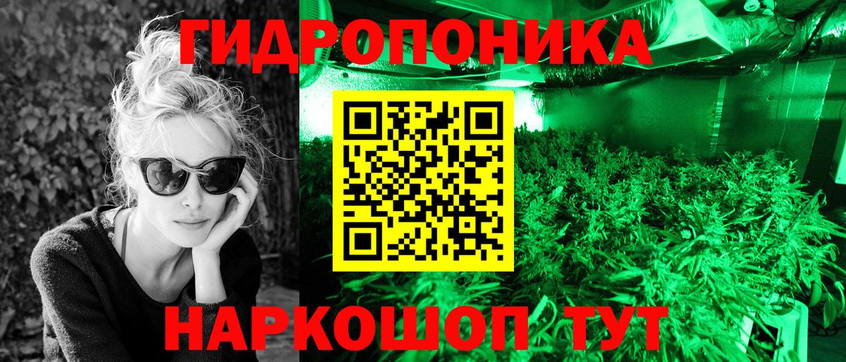 Лсд 25 Дедовск